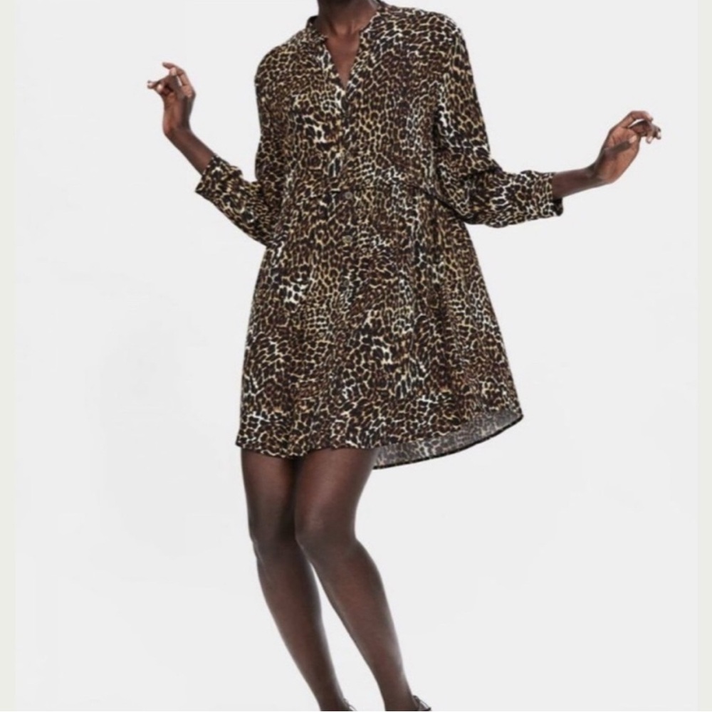 Zara Brown Leopard Print Long Sleeve Dress